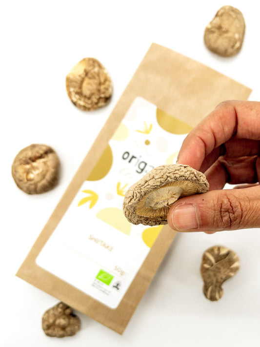 Shiitake – Getrocknete Bio-Pilze – 50 g – Origami